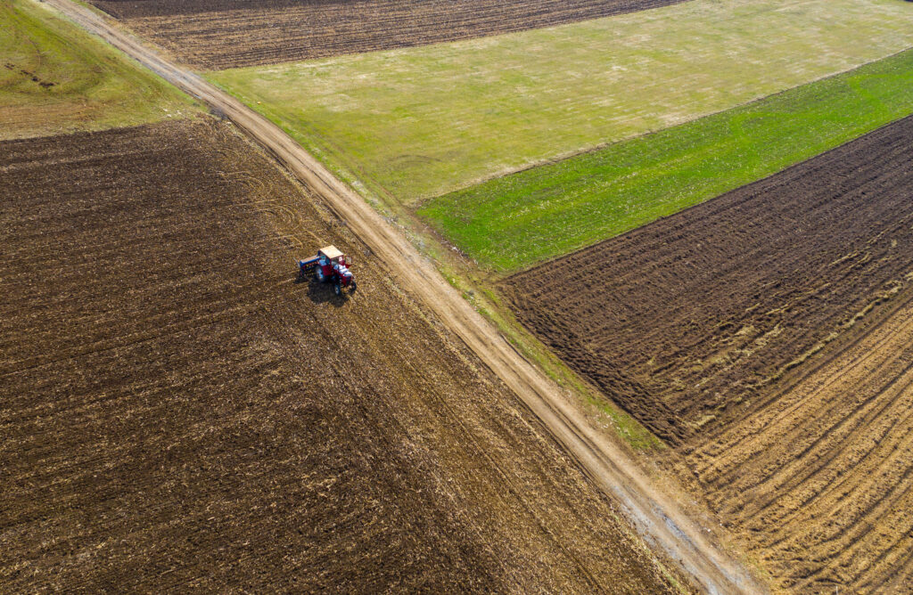Hacia sistemas alimentarios sostenibles