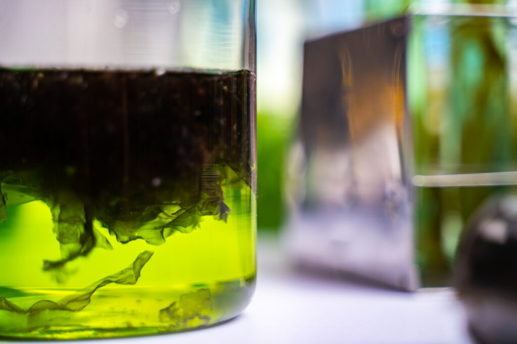 Aprovechamiento de biomasa como alternativa energética